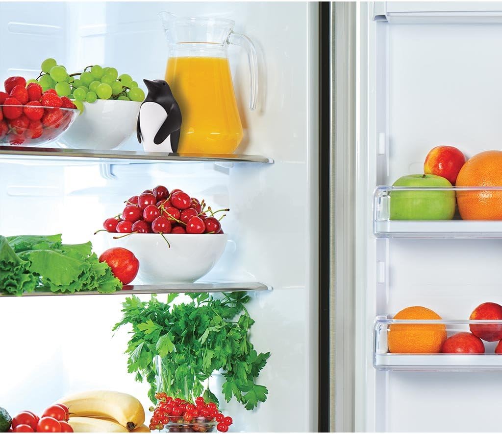 Refrigerator Deodorizer with B - Kitchen Gadgets Holder recension och pris